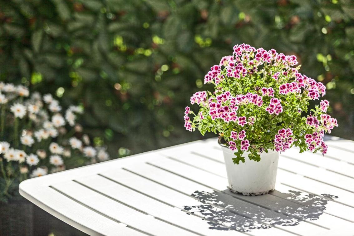 Willa Garden Sant'Avendrace Cagliari Zewnętrze zdjęcie